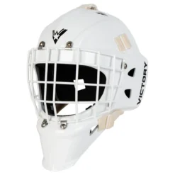Victory V2 Junior Custom Goalie Mask